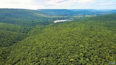 80 Kroff Rd, Gurley, AL 35748 - photo 2