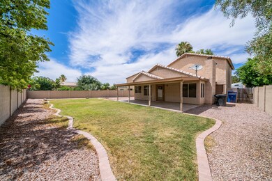 33Backyard