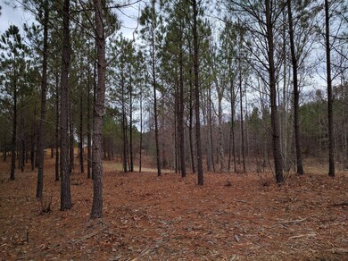 0 Bear Trace Dr unit 1268369, Jasper, TN 37347 - photo 6