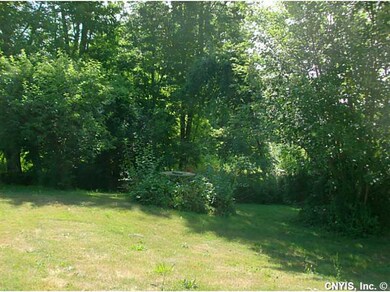 Yard/Garden.