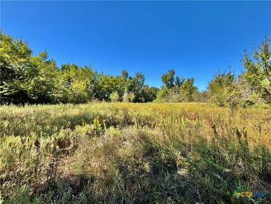 00 Farm To Market Road 1048, Rosebud, TX 76570 - photo 6