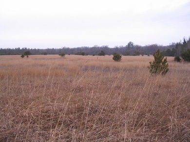 Parcel 14 N M-18, Roscommon, MI 48653 - photo 4