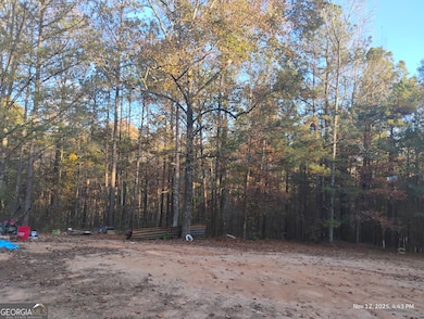 703 Central High Rd, Carrollton, GA 30116 - photo 6