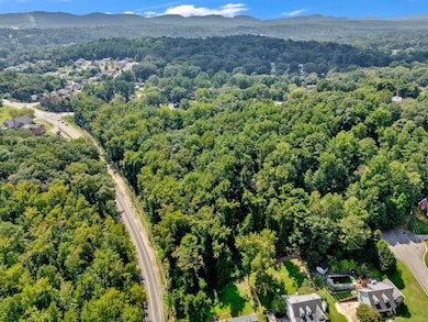 2520 Sweeney Hollow Rd, Center Point, AL 35215 - photo 4