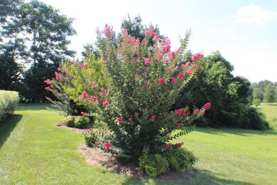 411 S Plantation Dr, Cookeville, TN 38506 - photo 5