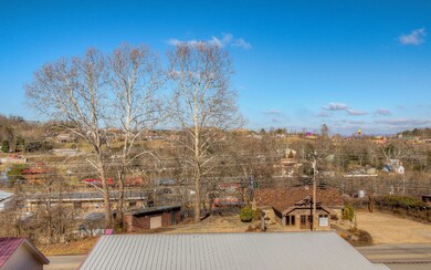 Additional View