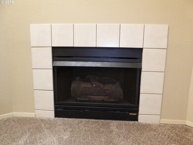 Fireplace Gas