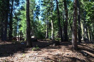 3112 Apache Rd, Arnold, CA 95223 - photo 7