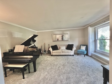 1007 Shimer Ct, Naperville, IL 60565 - photo 6