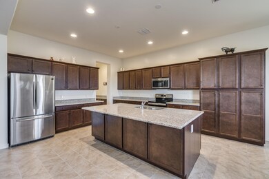 Desert Firetail Lane-22