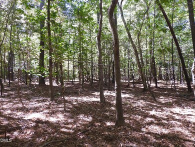 263 Russell Chapel Church Rd, Pittsboro, NC 27312 - photo 7