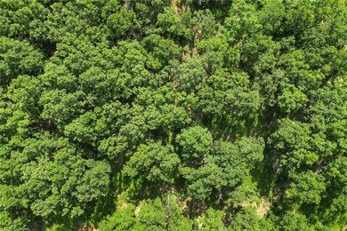 Lot 23 Restore Ridge, Harrison, AR 72601 - photo 7