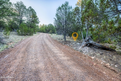 2333 Elk Ridge Ln unit 4H, Overgaard, AZ 85933 - photo 6