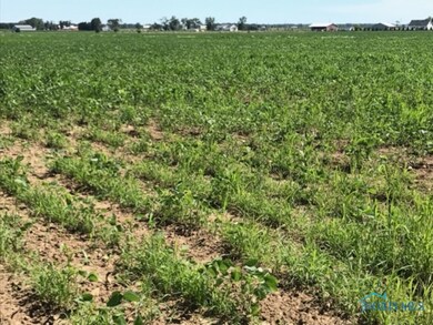 0 Devils Hole Rd unit 6034482, Pemberville, OH 43450 - photo 7