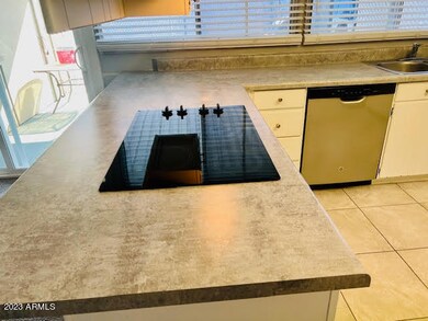 Elm kitchen 5