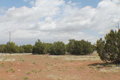 Parcel E Bourdon Ranch Rd, Show Low, AZ 85901 - photo 5