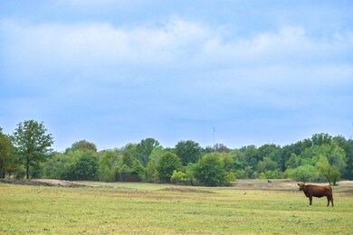 TBD Cr 4698 14 Acres, Boyd, TX 76023 - photo 6