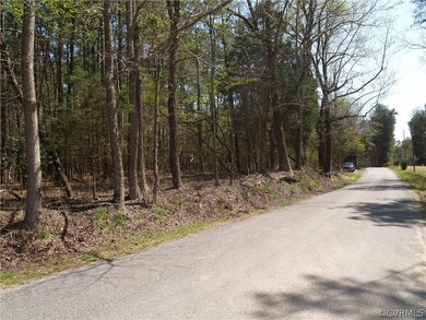 Road front along Rt. 603