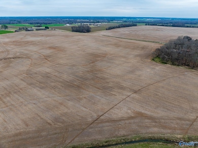 Lot 2 Mack Rd, Athens, AL 35611 - photo 7