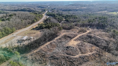 32 Acres Hwy 43, Hamilton, AL 35570 - photo 3