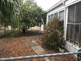 side yard fruit tree