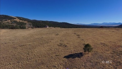 152 Wulsten Way, Westcliffe, CO 81252 - photo 7