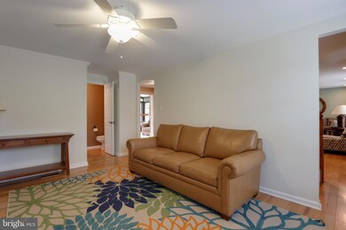 9683 Baltimore Ave, Laurel, MD 20723 - photo 7