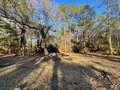 10014 Bentley Dr, Hockley, TX 77447 - photo 5