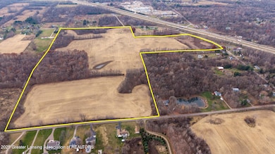 Vl Windsor Hwy, Dimondale, MI 48821 - photo 6