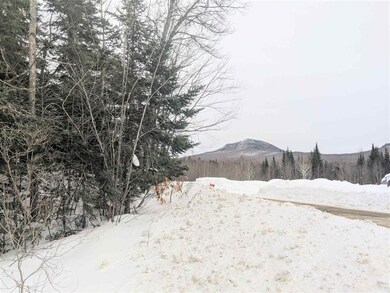31.5 Ac Cheney Rd, Lowell, VT 05847 - photo 3