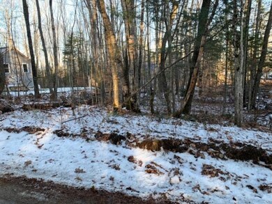 61 Kimball Lake Shores Rd, Fryeburg, ME 04037 - photo 4