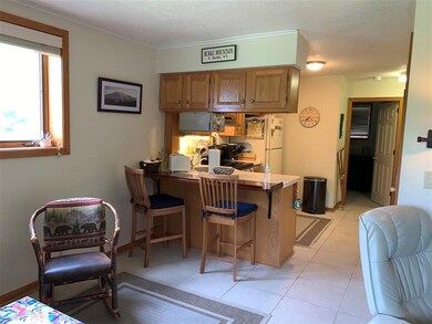 23 Mount Brook Rd unit 12, Burke, VT 05832 - photo 6