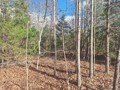 0 Circle g Dr, Lawrenceburg, TN 38464 - photo 4