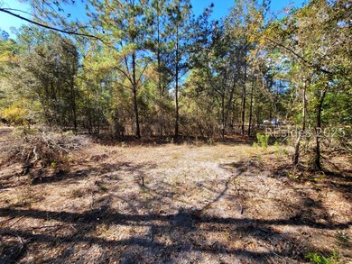 TBD Beavers Rd, Ridgeland, SC 29936 - photo 6