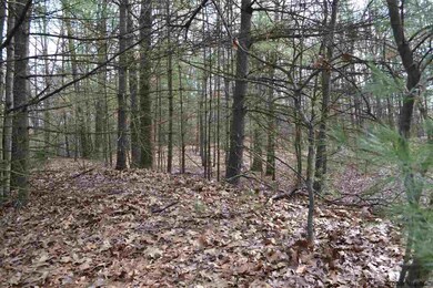 114 Ruggles Rd, Saratoga Springs, NY 12866 - photo 6