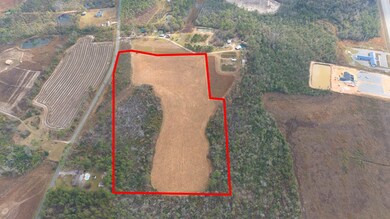 0 Old Graham Rd unit 23843, Hazlehurst, GA 31539 - photo 3