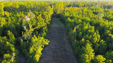 0 Porter Rd, Lake Park, GA 31636 - photo 4