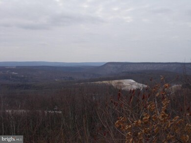 0 E of Wildcat unit 1002314594, Walker Township, PA 18252 - photo 3