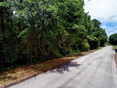 LOTS 21 & 22 Sweet Bay Cir, Magnolia, TX 77354 - photo 6