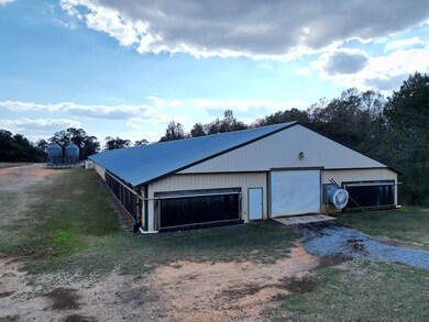 5100 Mount Ida Rd, Luverne, AL 36049 - photo 5