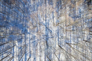 0 Fulton Ln unit 4942830, Barton, VT 05822 - photo 3