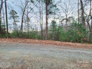 000 Birddog Blvd unit 328, Lake Lure, NC 28746 - photo 5