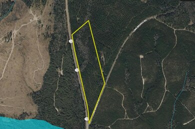 0 Hwy 112 unit 25649022, Toomsboro, GA 31090 - photo 5