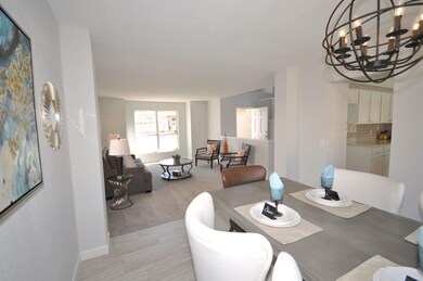 Dining Room into Living Room