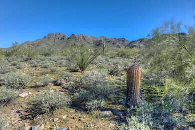 Views of the McDowell Mountains