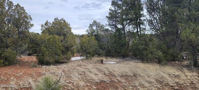 0 Power Line Rd unit 244852, Overgaard, AZ 85933 - photo 5