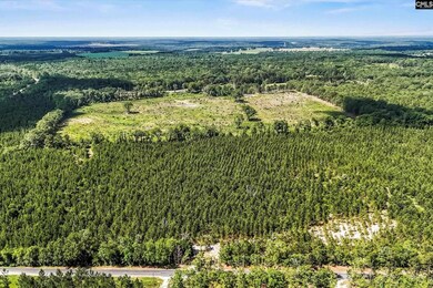 4000 Old Ninety Six Indian Trail, Wagener, SC 29164 - photo 3