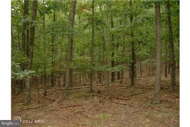 15 Pack Horse Rd, Cross Junction, VA 22625 - photo 3