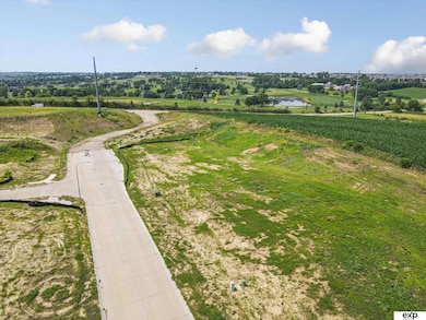 5404 N 199th St, Omaha, NE 68022 - photo 3