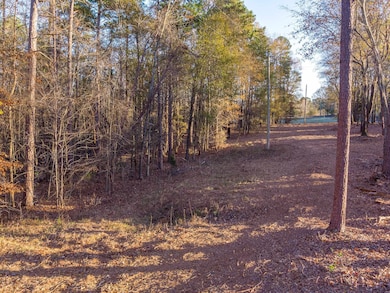 0 Marshall Tucker Rd, Pauline, SC 29374 - photo 2